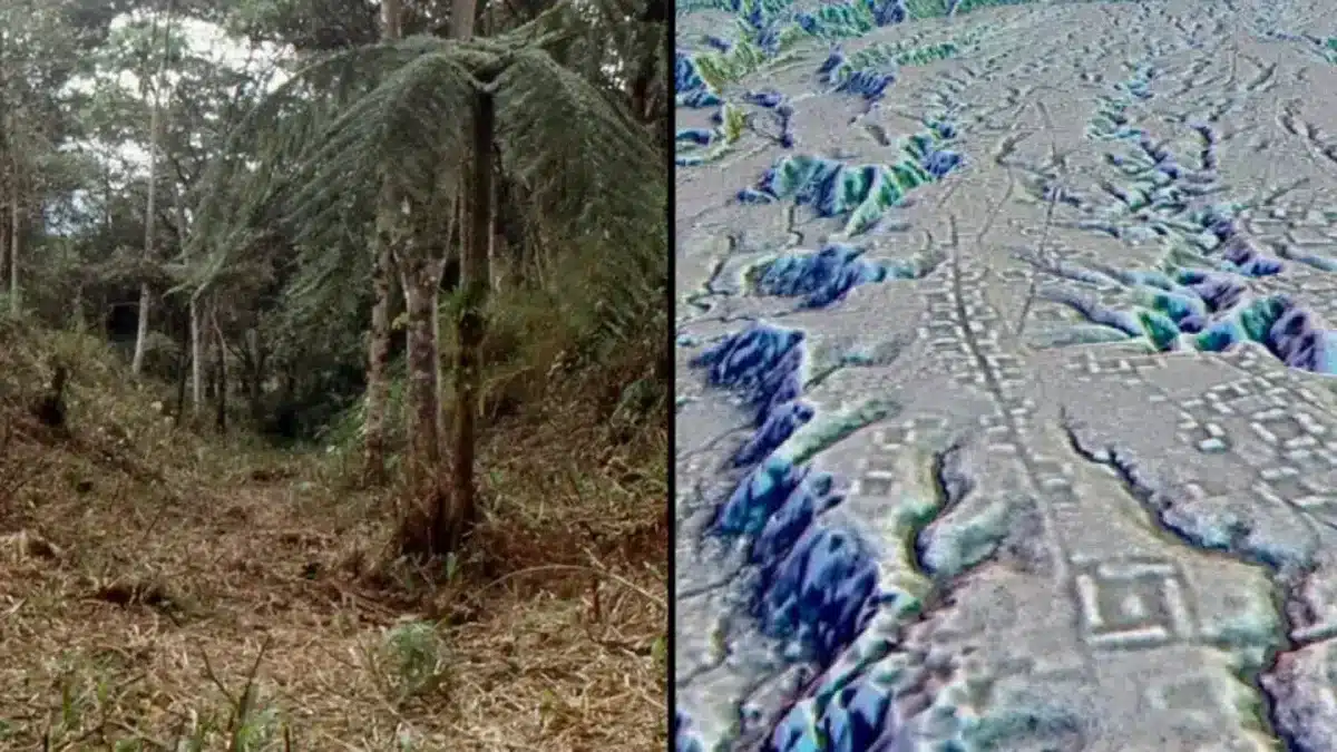 Cidade antiga há muito perdida descoberta na Amazónia ‘mudanças como vemos a civilização’