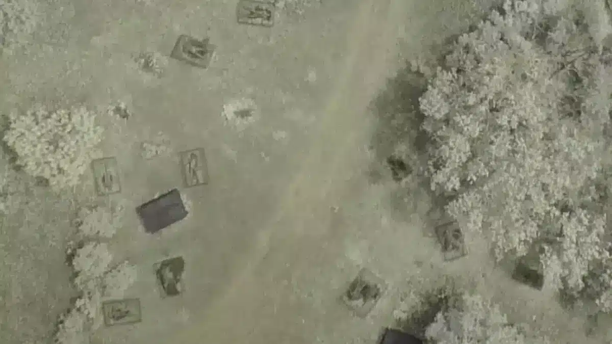 Vista aérea assustadora mostra cadáveres em gaiolas em rancho, o que serve a um propósito muito importante