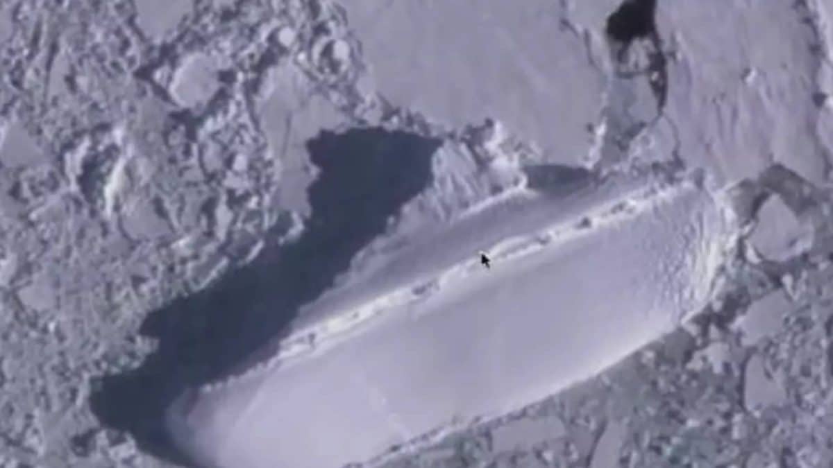 O que é o "navio de gelo" descoberto por usuários do Google Earth?