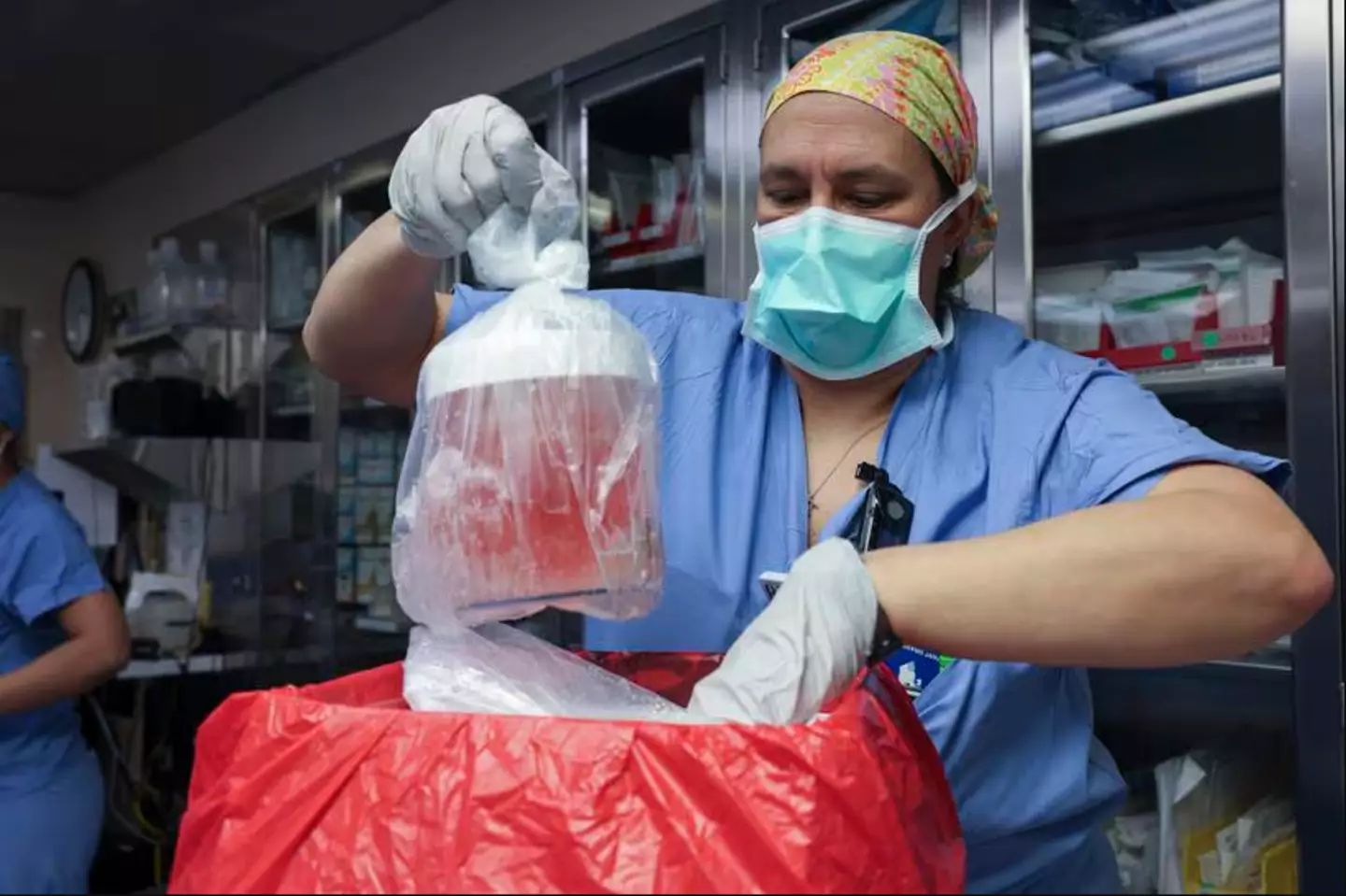 Cirurgiões transplantam rim de porco em ser humano com sucesso pela primeira vez em procedimento inovador