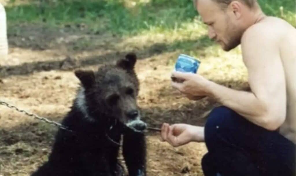 Caçador russo morto por urso que criava desde filhote