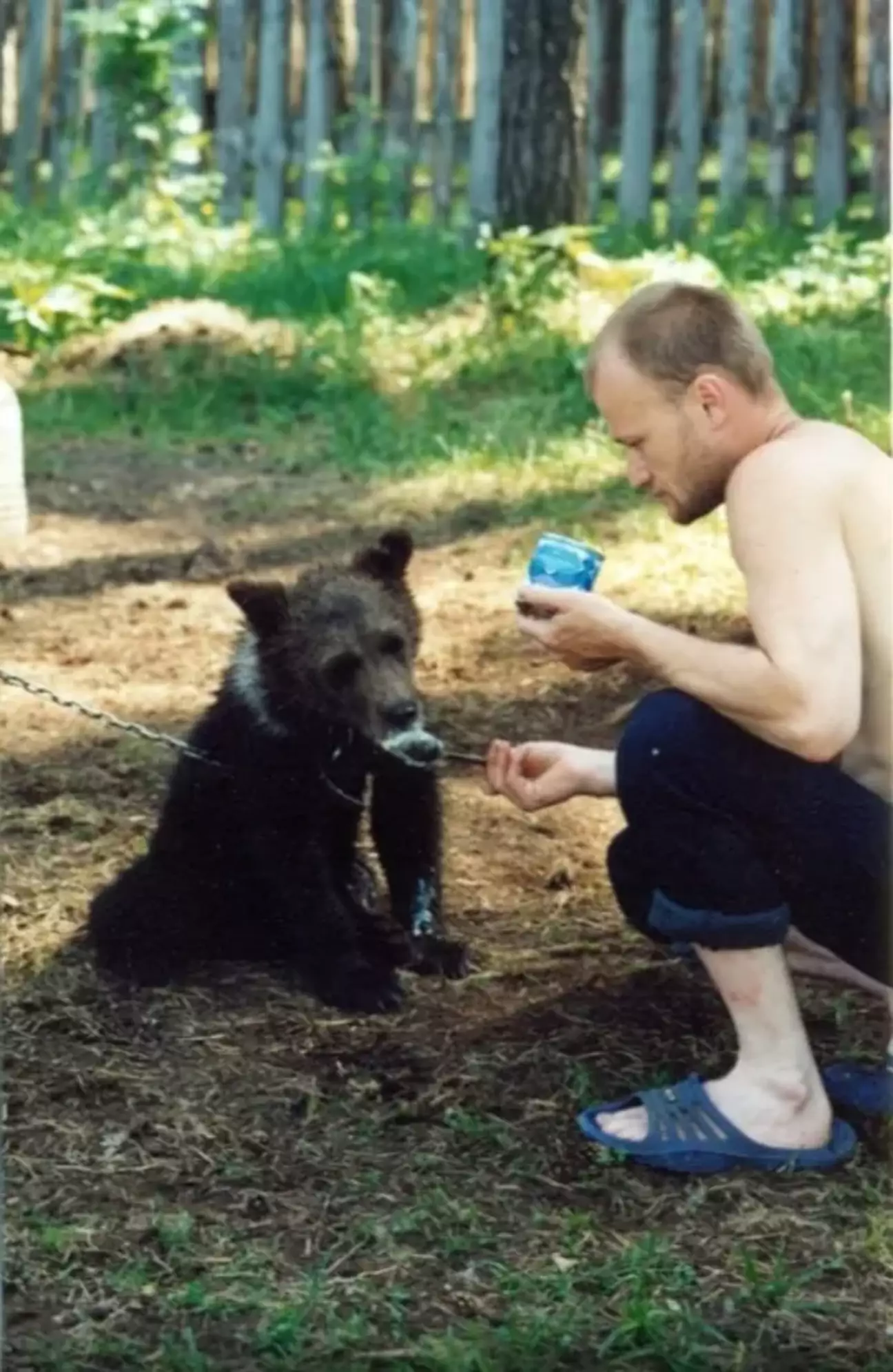 Homem russo que adotou filhote de urso foi comido pelo mesmo urso 4 anos depois