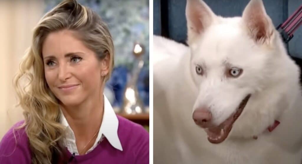 Mulher que insistia que seu cão era vegetariano se deu mal ao vivo na TV