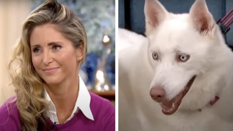 Mulher que insistia que seu cão era vegetariano se deu mal ao vivo na TV