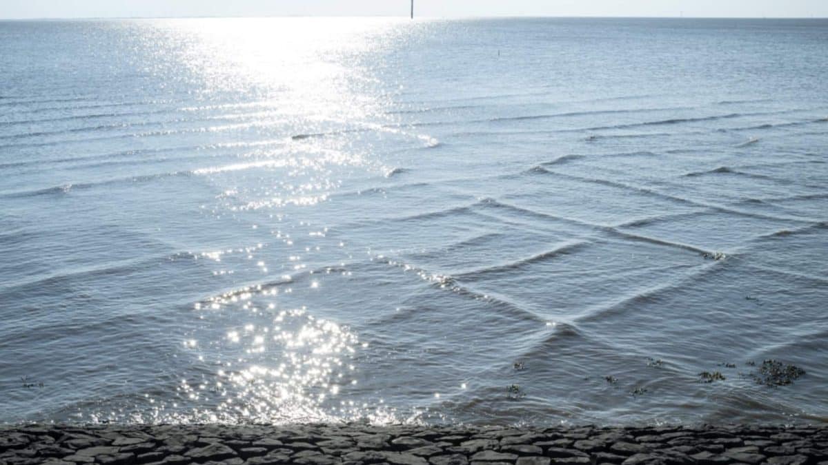 Ondas quadradas