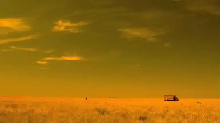 Por que o México sempre tem tom amarelo em séries e filmes?