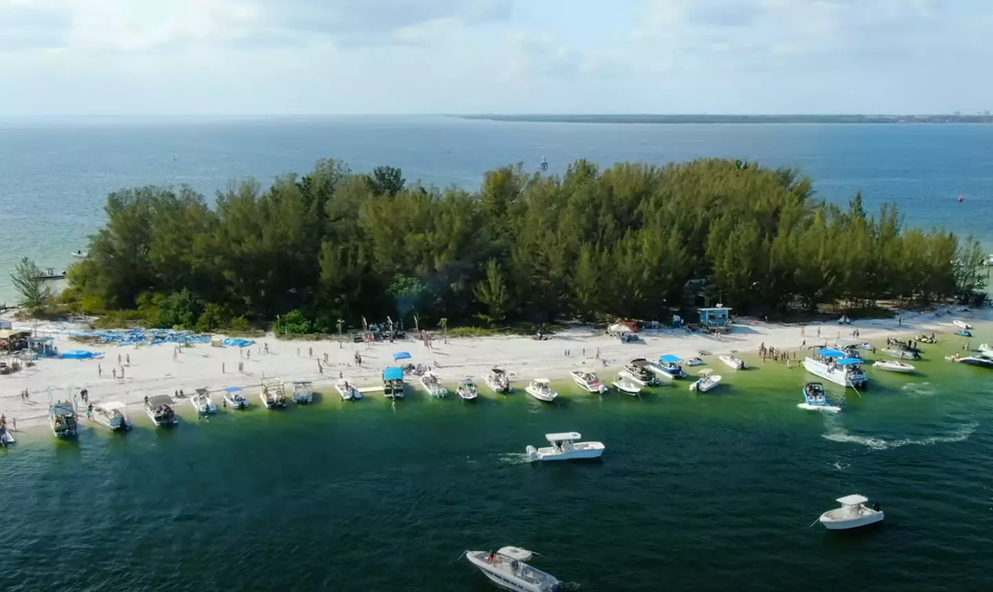 4 amigos compraram ilha deserta $ 65 mil e a transformaram em um paraíso avaliado em $ 14 milhões