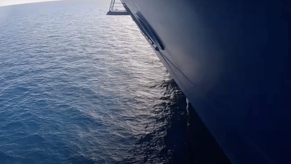 Cena subaquática revela vida marinha assustadora