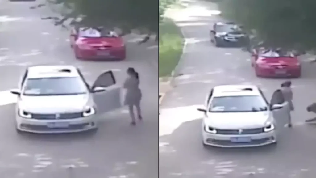 Últimos momentos horríveis de mãe comida viva por tigre após resgatar sua filha