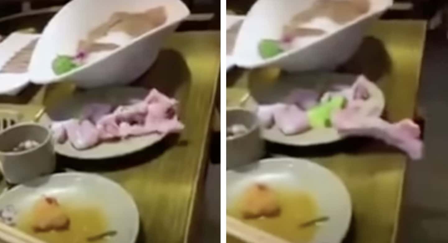 Carne “viva” no prato: a ciência por trás do fenômeno viral