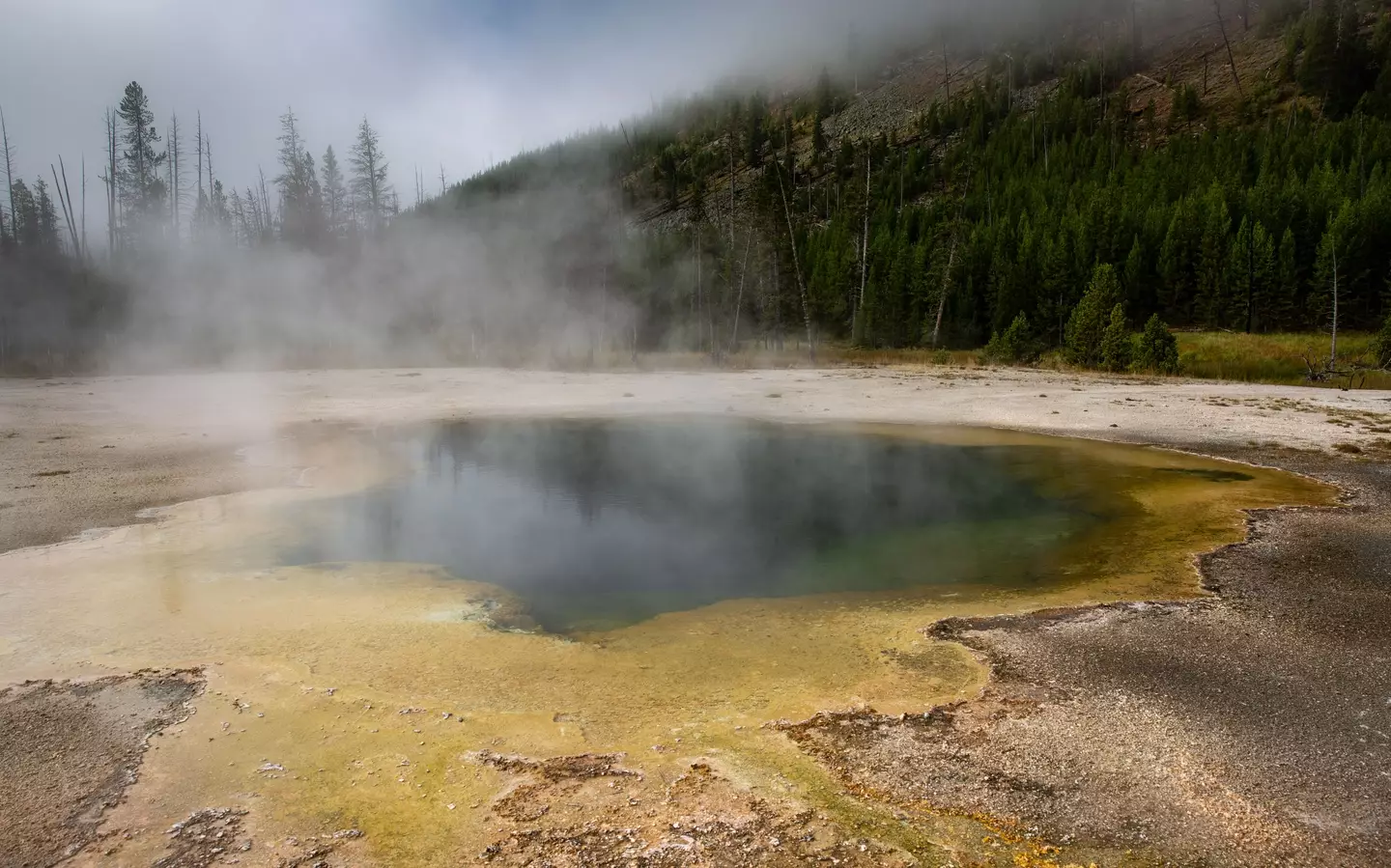 Homem que caiu em fonte termal de Yellowstone foi completamente dissolvido em um dia