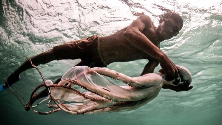 Bajau