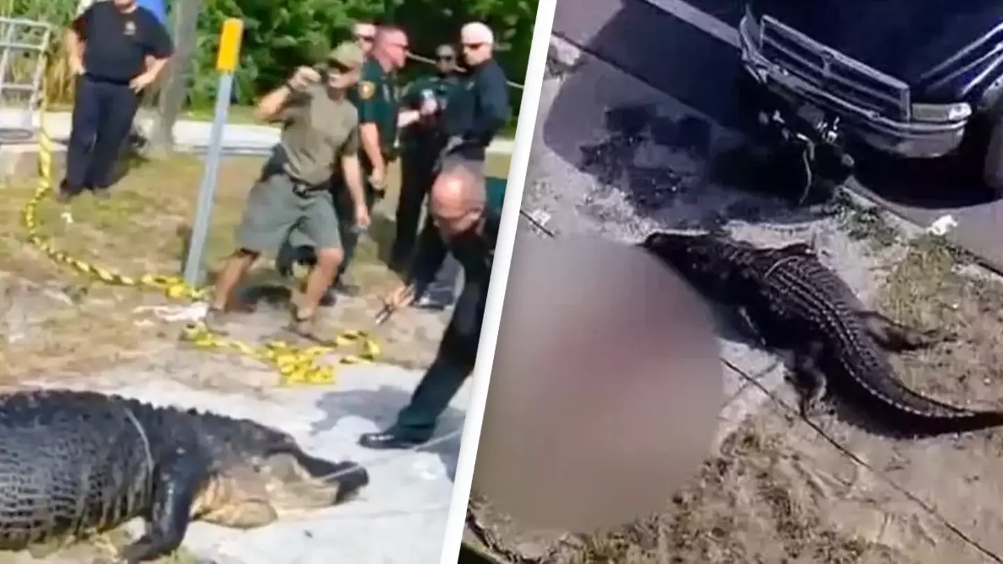 Imagens horríveis mostram autoridades lutando com um crocodilo de 4 metros depois que o corpo de uma mulher foi encontrado em sua boca