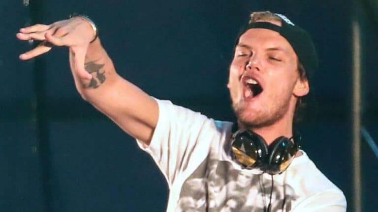 Palavras finais de Avicii foram reveladas em um diário