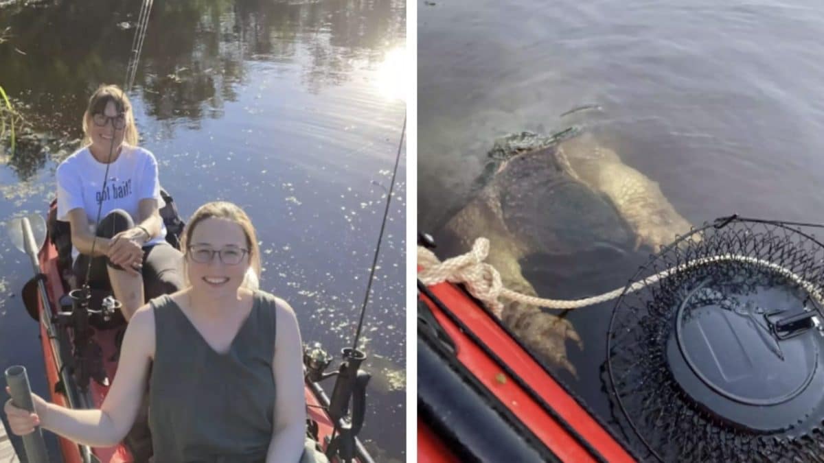 Criatura assustadora com garras enormes emerge das profundezas e 'apavora' canoístas