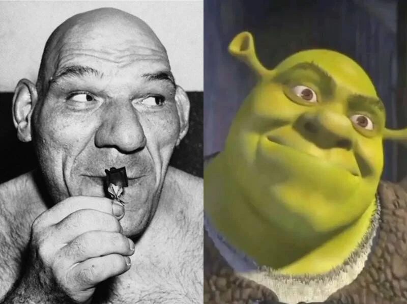 Embora ninguém na Dreamworks tenha confirmado ou negado, rumores afirmam que Maurice Tillet inspirou o visual de Shrek.