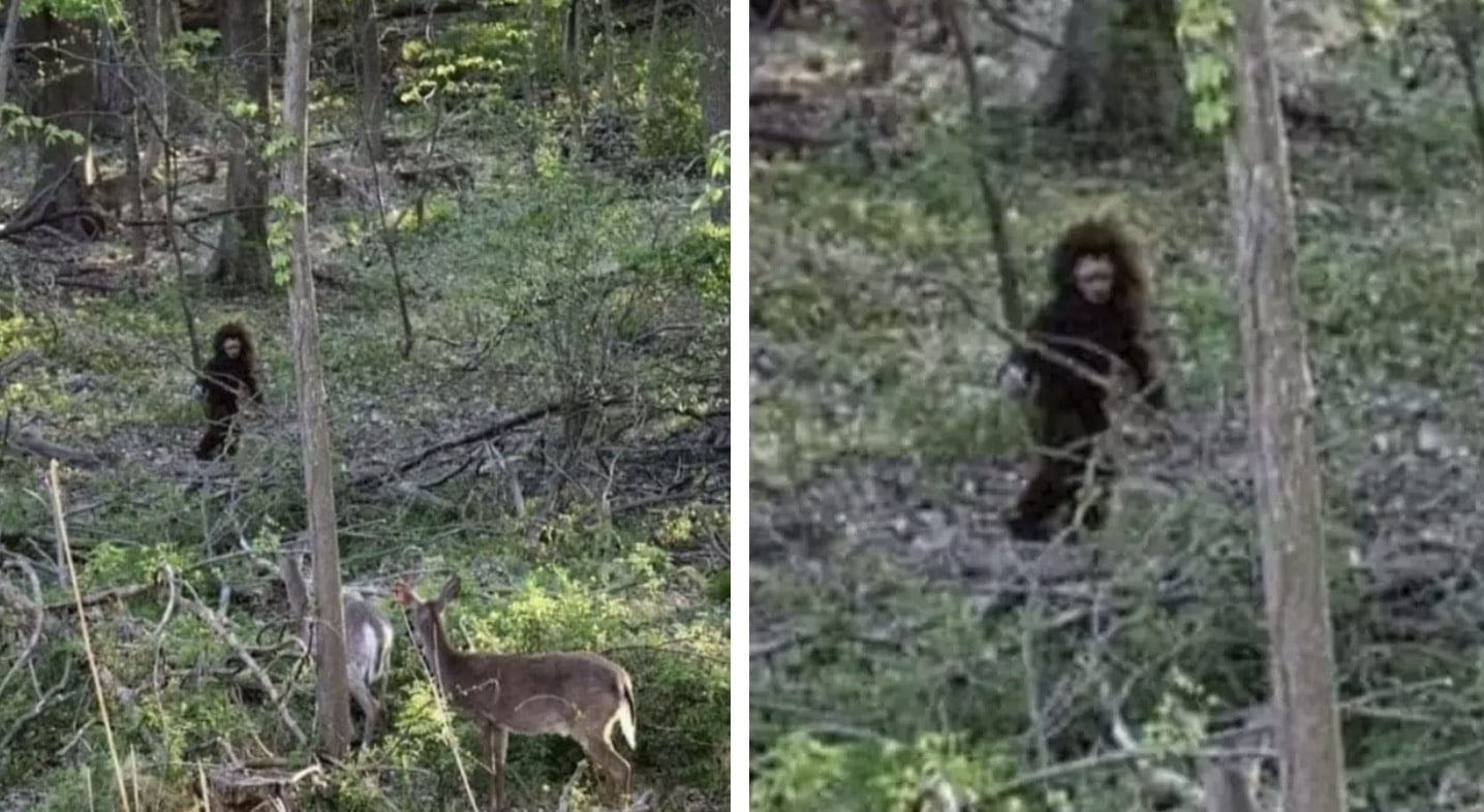 Mulher alega que viu "filhote do Pé Grande" em floresta