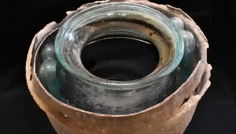 Vinho mais antigo do mundo achado com restos humanos