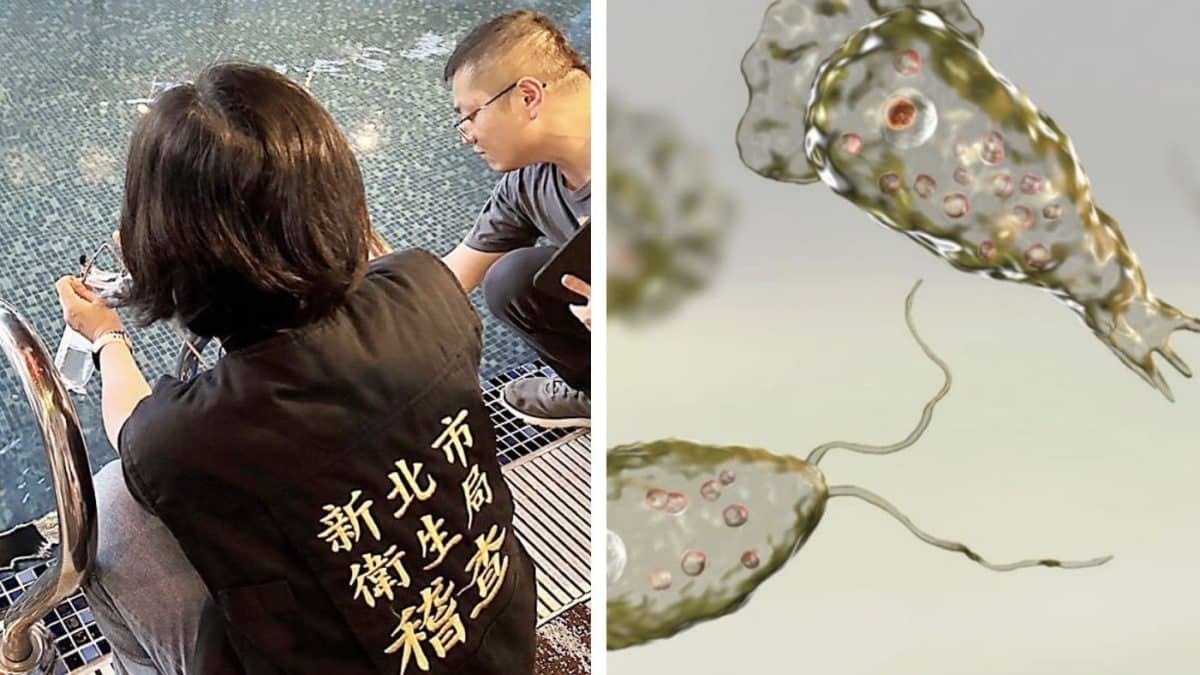 Mulher morre tragicamente após contrair ameba comedora de cérebros em piscina coberta