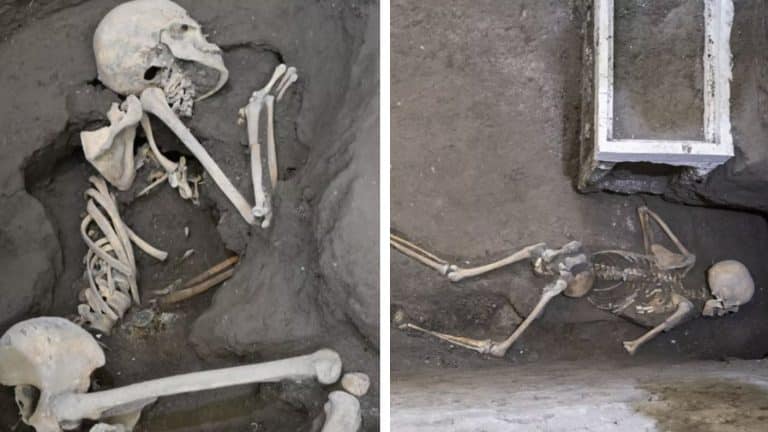 Novas vítimas "presas" de Pompeia são descobertas segurando itens que deixaram os cientistas perplexos