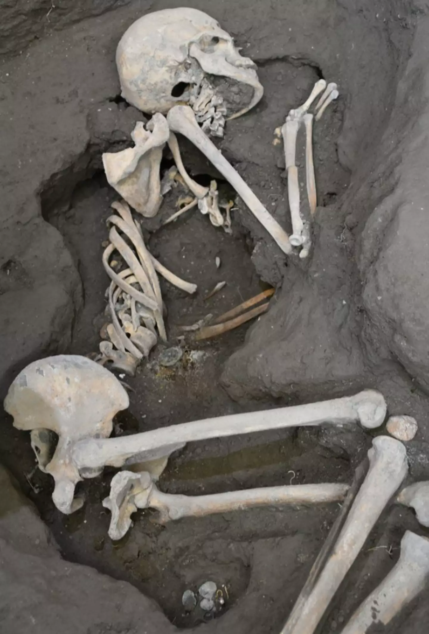 O esqueleto da mulher foi encontrado encolhido em uma cama, ela tinha um estoque de moedas e joias valiosas com ela. (Parco Archeologico di Pompeii)