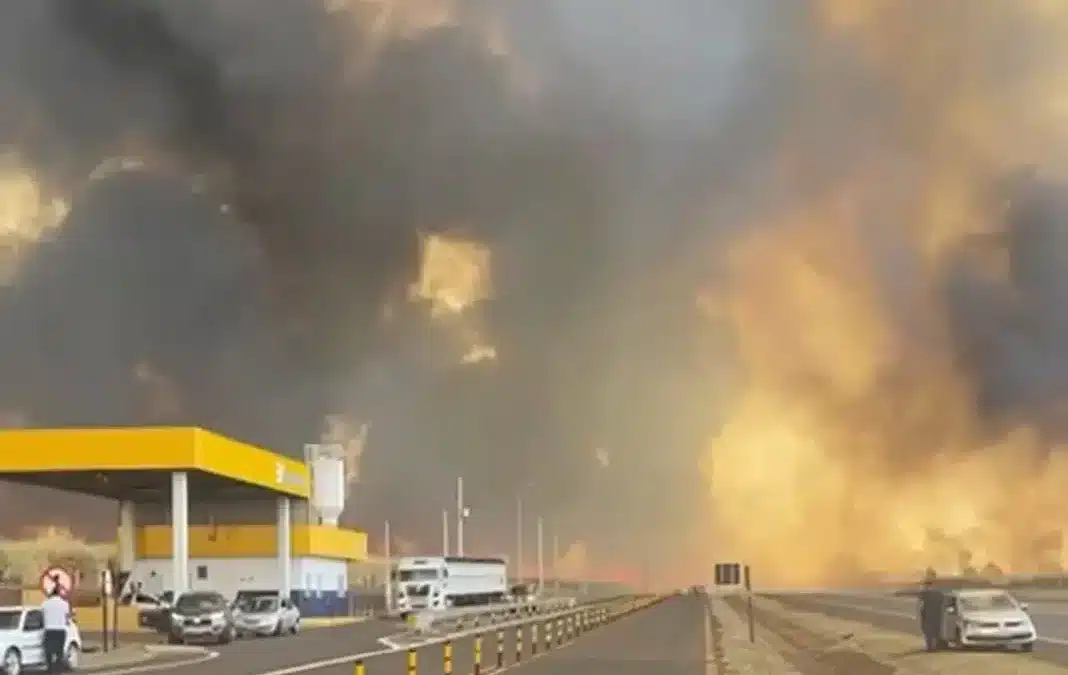Onda de incêndios causa caos na região de Ribeirão Preto