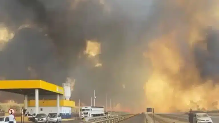Onda de incêndios causa caos na região de Ribeirão Preto