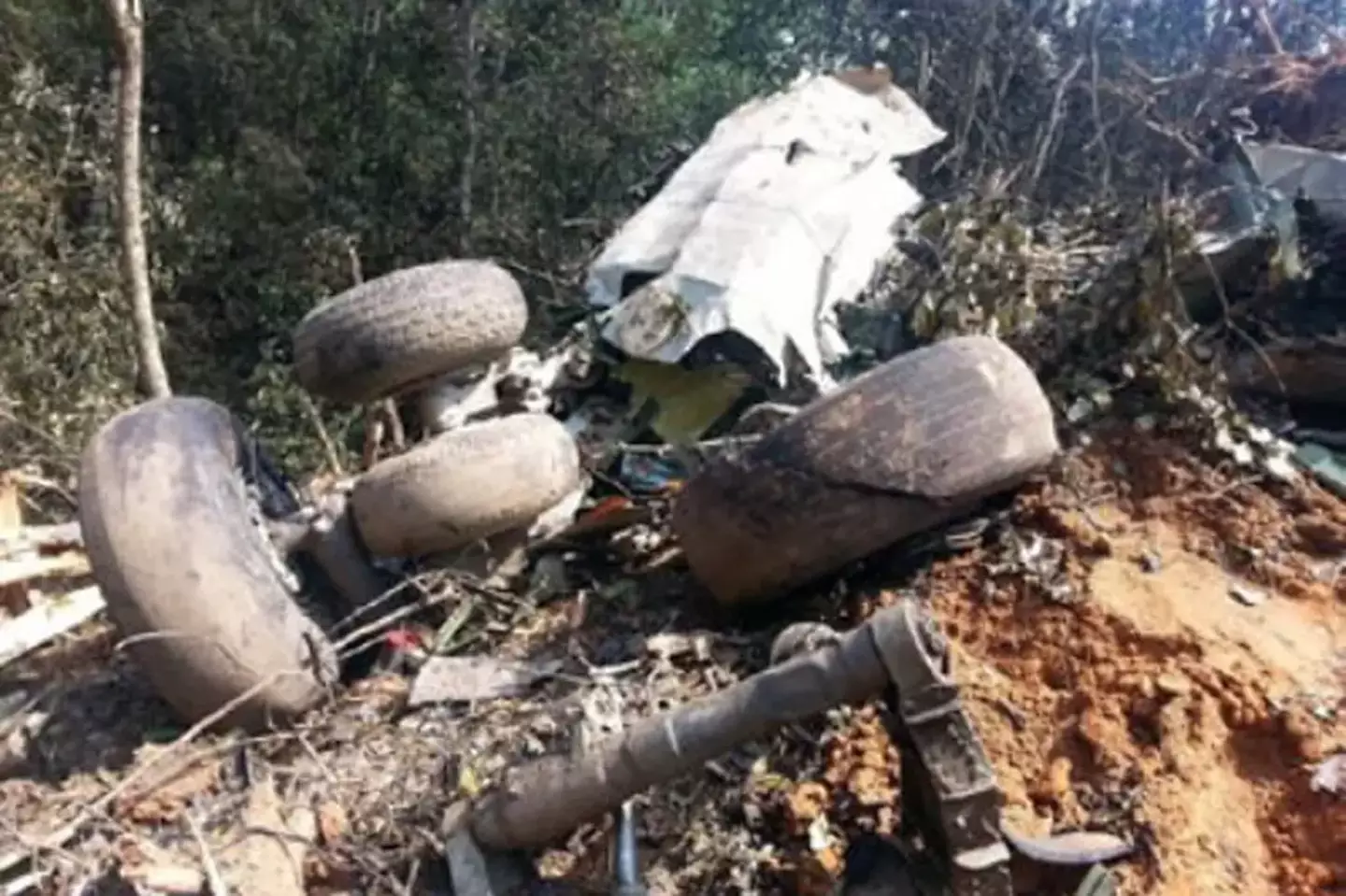 25 passageiros e seis tripulantes morreram na tragédia aérea (Annette Herfkens).