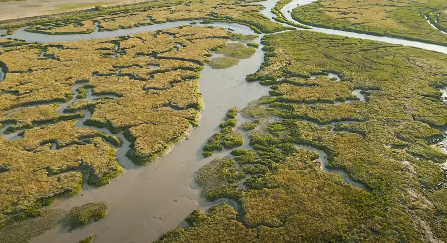 A Ilha dos Mortos está localizada no Estuário de Swale, perto da cidade de Queenborough, Kent (YouTube/Dara Tah).