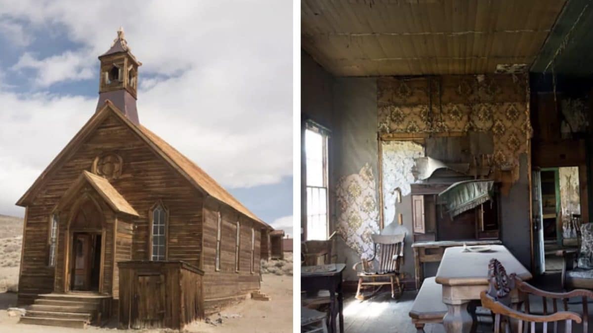 Bodie