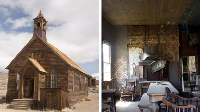 Bodie