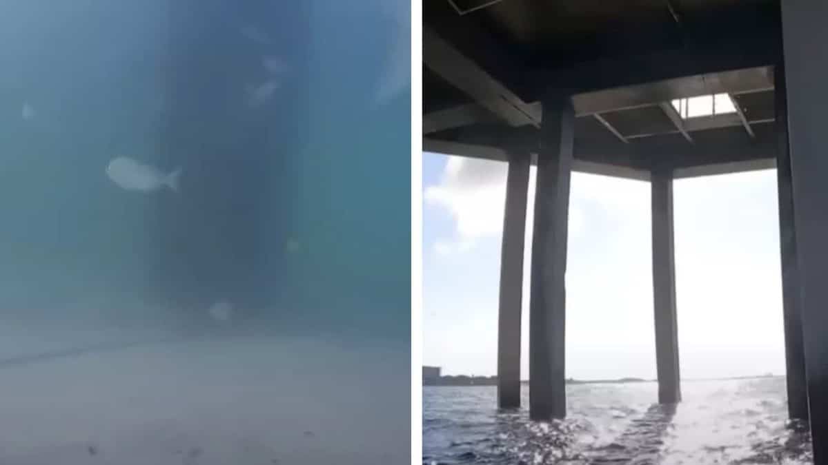 Homem deixa GoPro cair do 'píer mais perigoso do mundo' e descobre realidade assustadora do que está por baixo