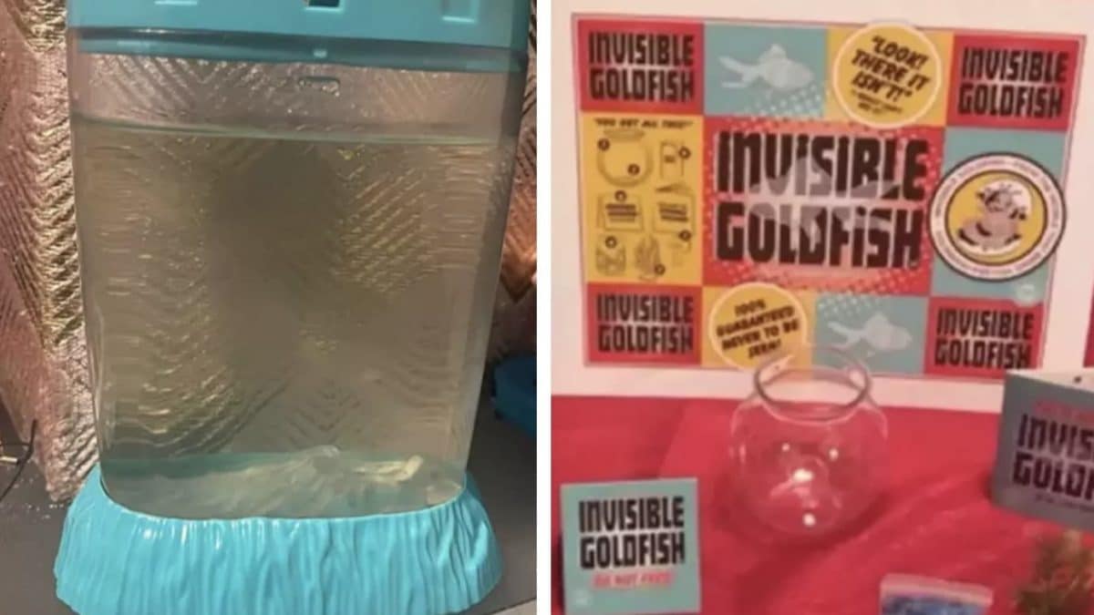 O Peixe Dourado Invisível