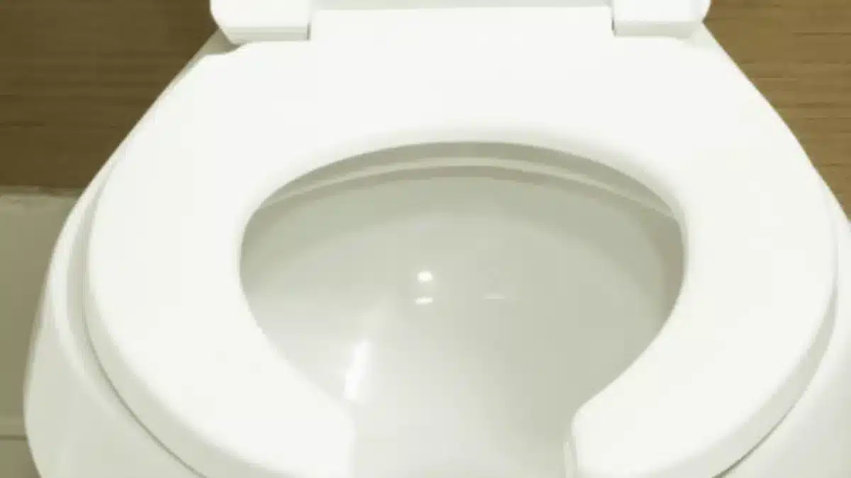 O motivo nojento pelo qual alguns banheiros públicos têm assentos em forma de U