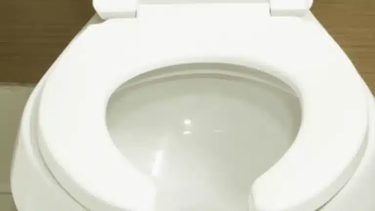 O motivo nojento pelo qual alguns banheiros públicos têm assentos em forma de U