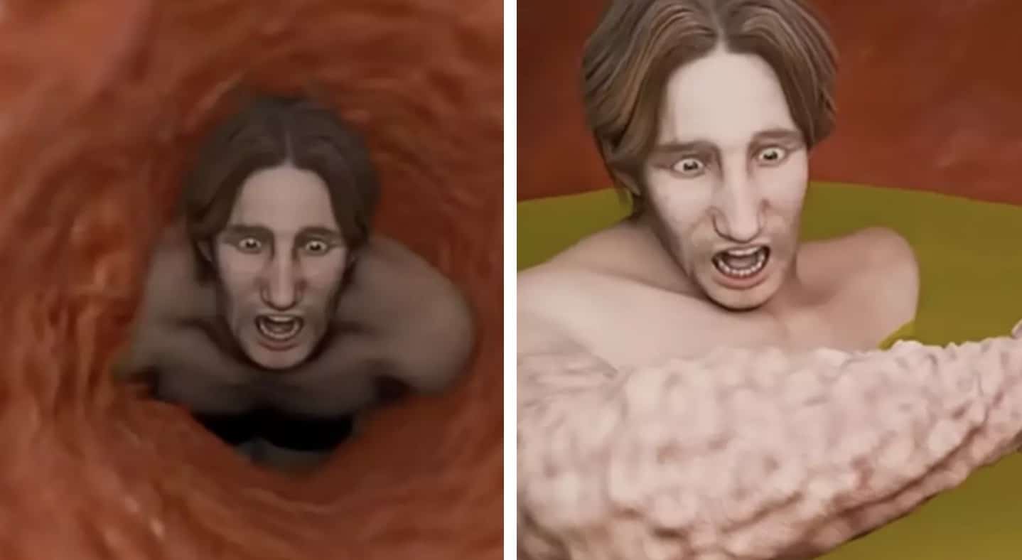 Vídeo horripilante mostra o que acontece com seu corpo se você for engolido por uma baleia Simulação revela terror de ser engolido por baleia cachalote