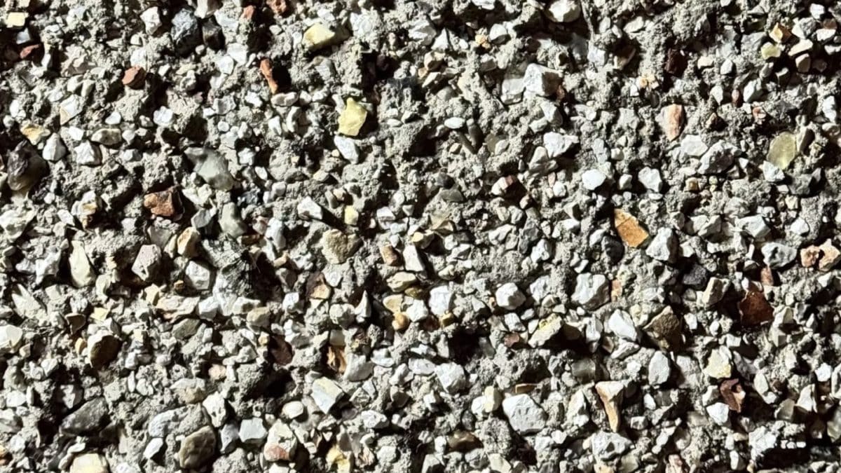 Você tem olhos de "sniper" se conseguir encontrar a mariposa escondida nesta imagem