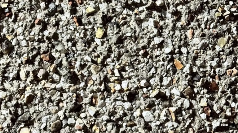 Você tem olhos de "sniper" se conseguir encontrar a mariposa escondida nesta imagem