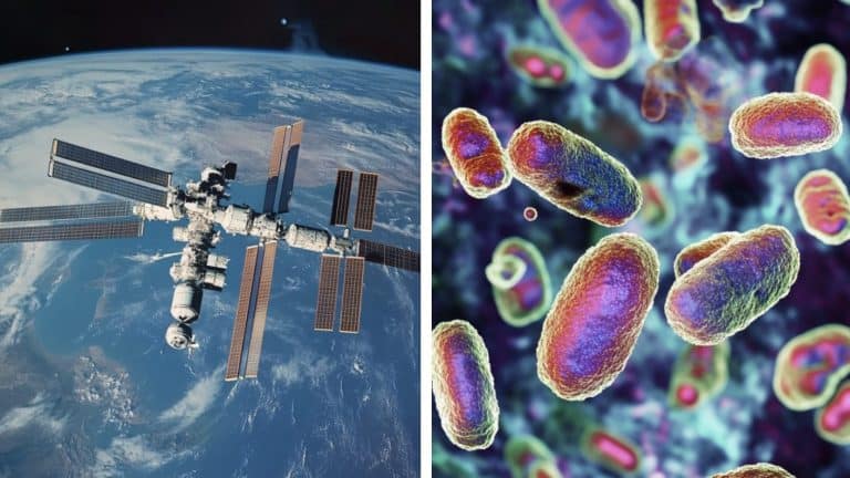 Bactérias sofreram mutação na Estação Espacial Internacional para algo nunca visto antes na Terra