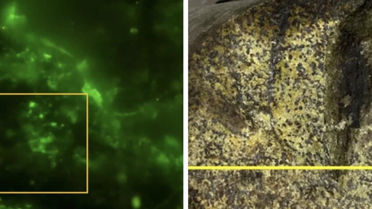 Cientistas abrem rocha de 2 bilhões de anos e fazem descoberta revolucionária