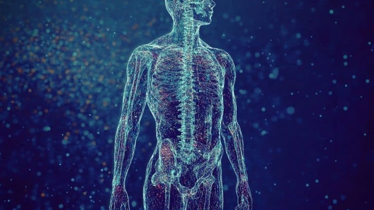 Cientistas determinaram a idade máxima que uma pessoa pode viver após realizar um estudo