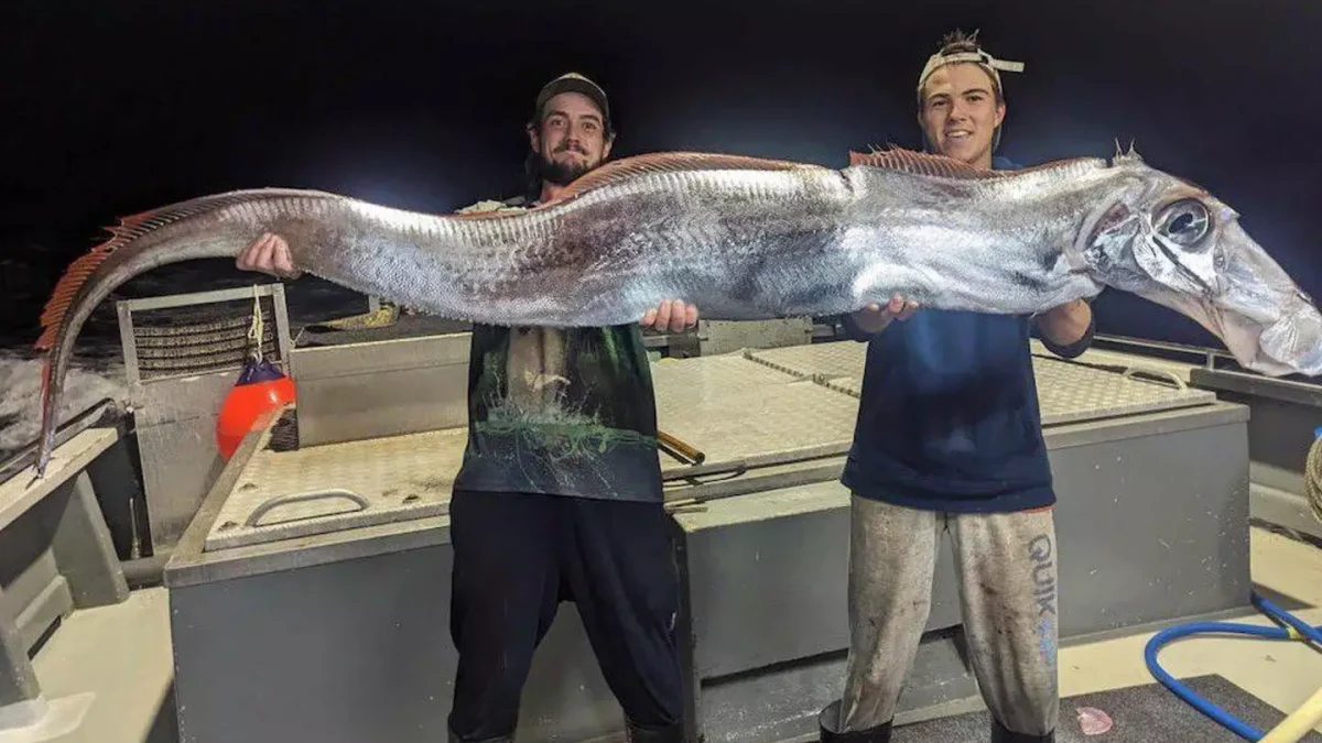 Pescadores capturam assustador 'peixe do juízo final' em raro avistamento de criatura das profundezas com formato de cabeça bizarro