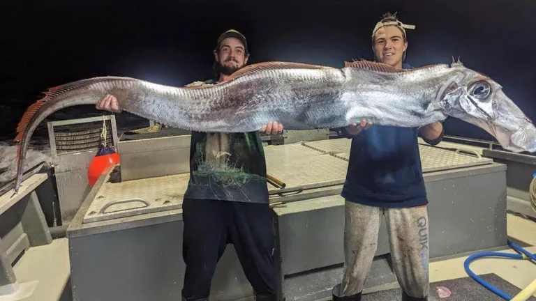 Pescadores capturam assustador 'peixe do juízo final' em raro avistamento de criatura das profundezas com formato de cabeça bizarro