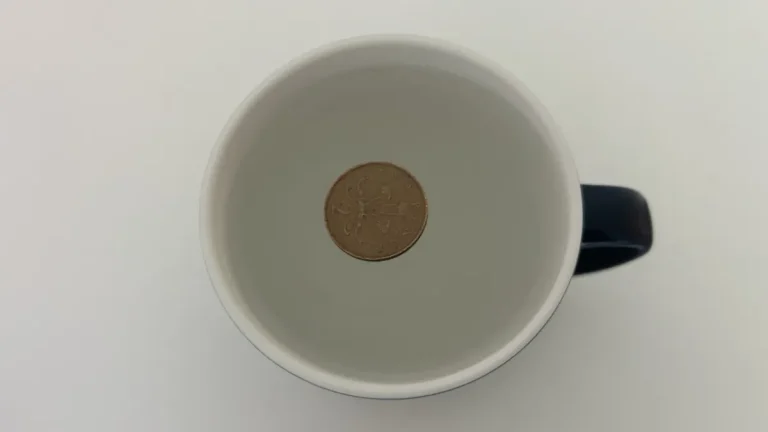 Por que as pessoas estão colocando um copo de gelo com uma moeda no congelador?