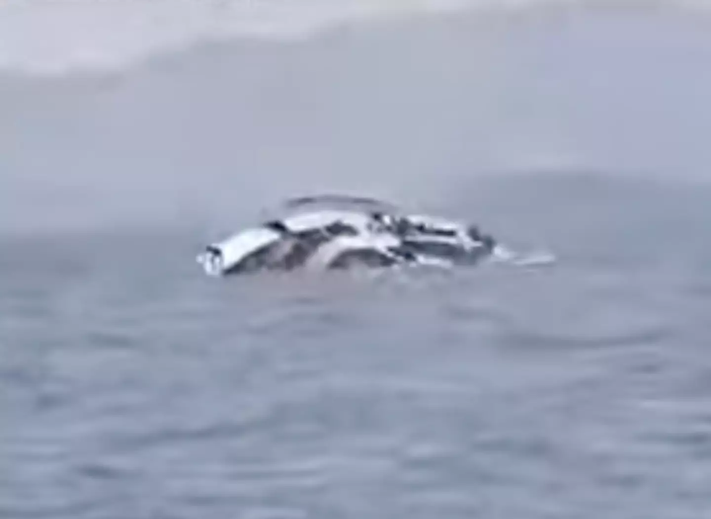 Vídeo chocante mostra o momento trágico em que uma balsa sobrecarregada vira, matando 78