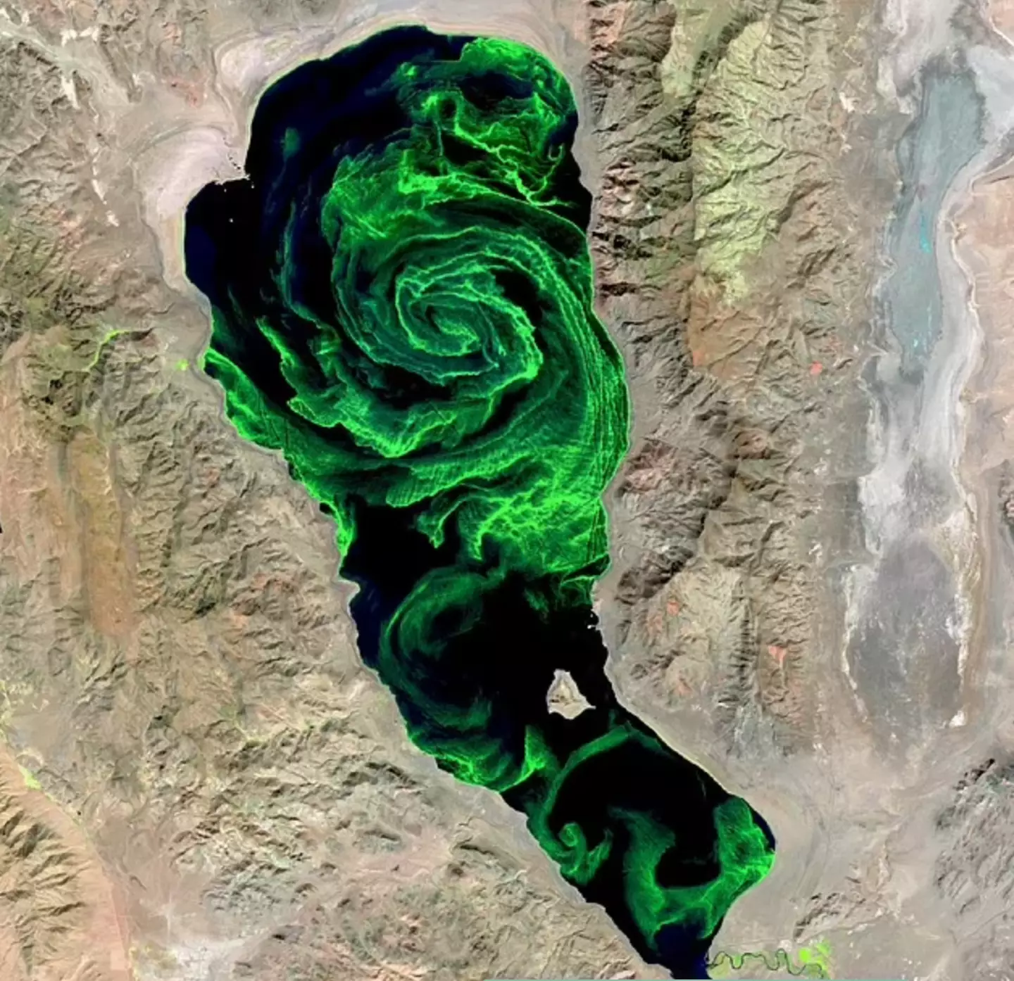 A intensa cor verde pode ser vista do espaço (Serviço Geológico dos Estados Unidos).