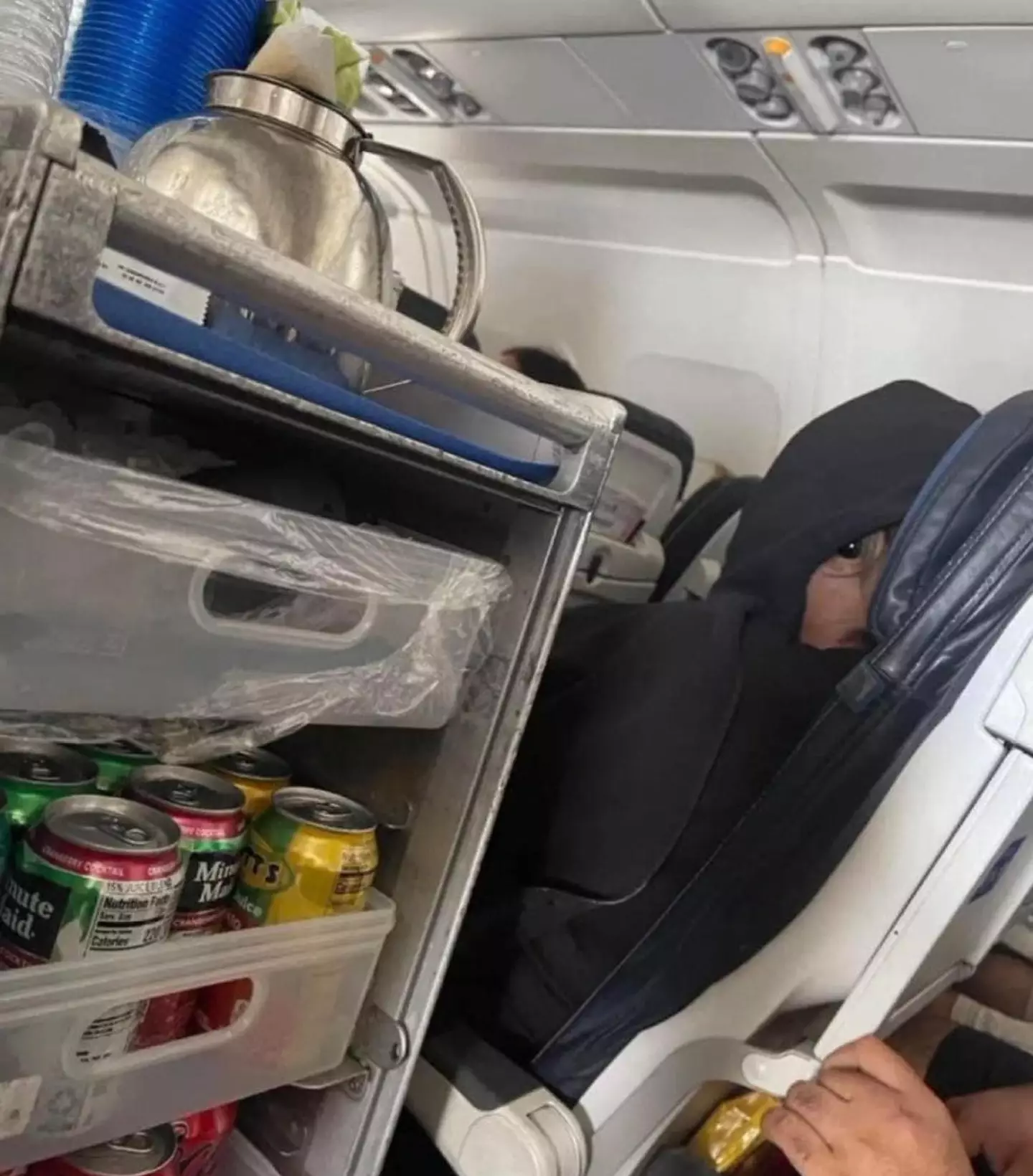 As pessoas ficaram intrigadas depois que alguém publicou uma foto que parece mostrar um "alienígena" viajando na classe econômica de um avião (X/@bluemupp).