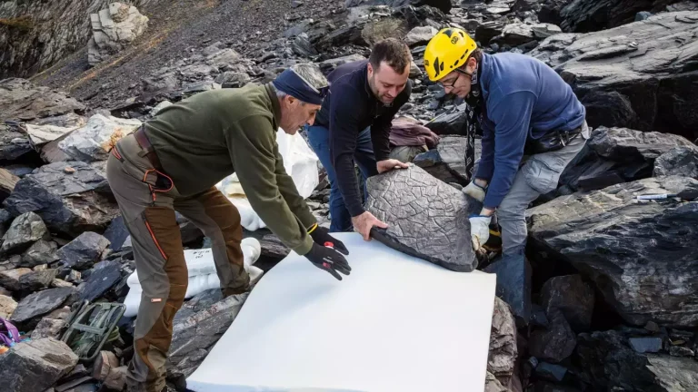 Cientistas acreditam que as pegadas fossilizadas têm cerca de 280 milhões de anos (Museu de História Natural de Milão). Cientistas acreditam que as pegadas fossilizadas têm cerca de 280 milhões de anos (Museu de História Natural de Milão).