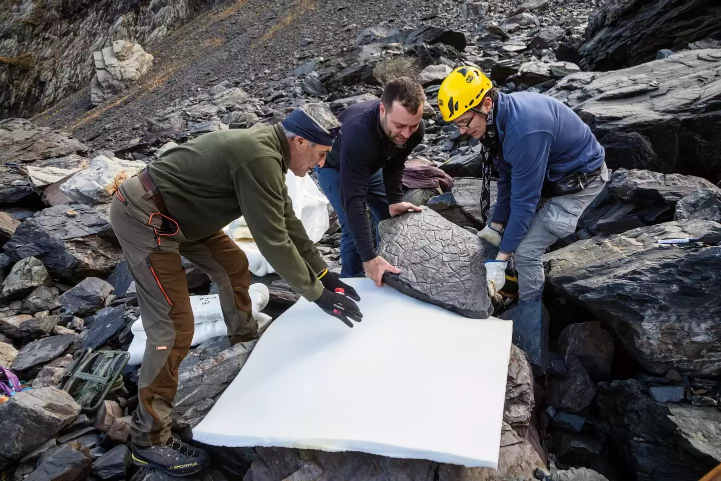 Cientistas acreditam que as pegadas fossilizadas têm cerca de 280 milhões de anos (Museu de História Natural de Milão).Cientistas acreditam que as pegadas fossilizadas têm cerca de 280 milhões de anos (Museu de História Natural de Milão).