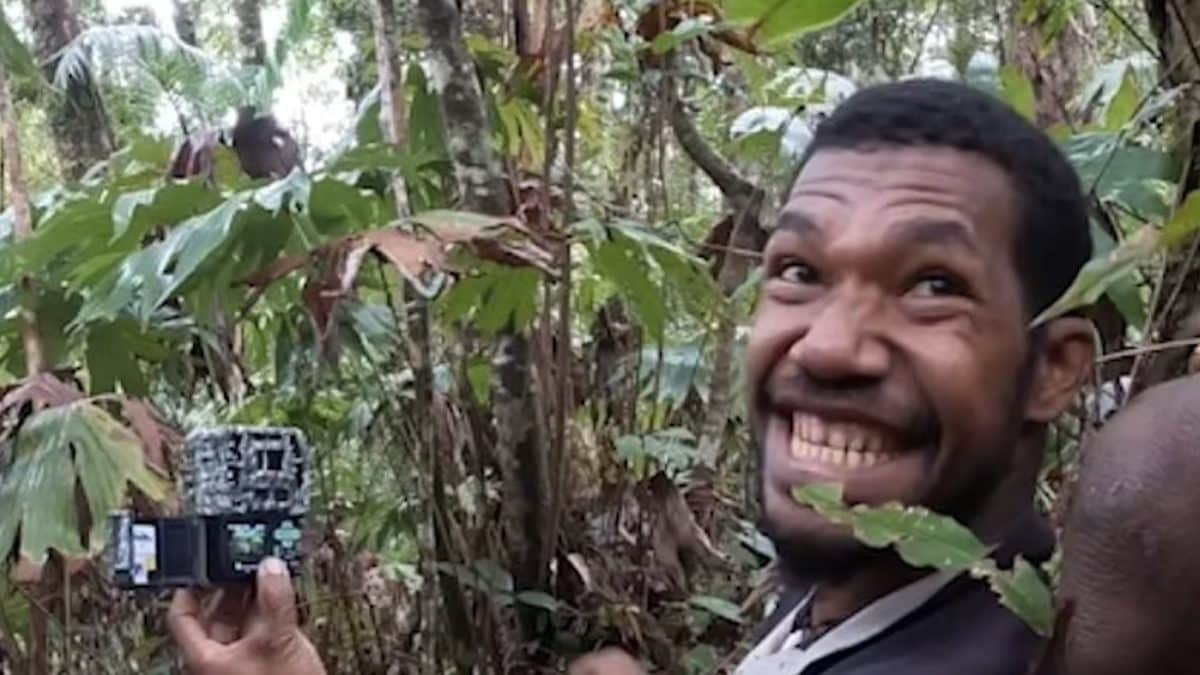 Cientistas capturam imagens raras de animal não visto há 140 anos